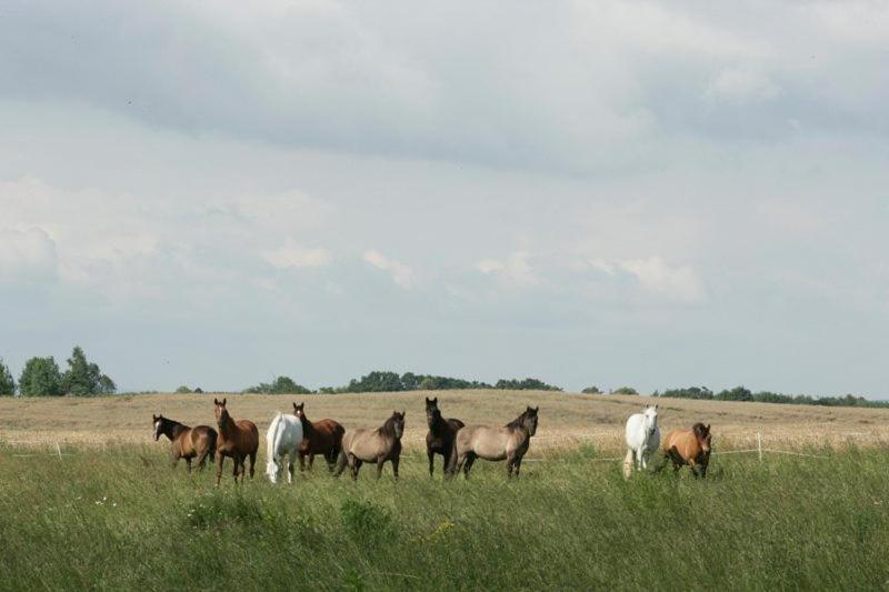 Vila Ekoturystyka Nowina Nowina  Exteriér fotografie