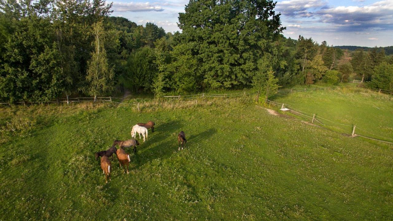 Vila Ekoturystyka Nowina Nowina  Exteriér fotografie