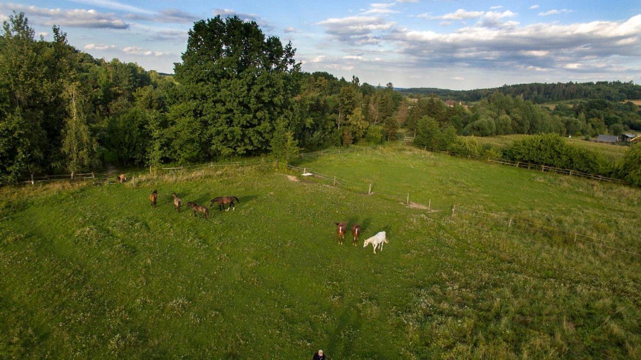 Vila Ekoturystyka Nowina Nowina  Exteriér fotografie